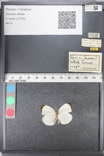 Media type: image;   Entomology 120519
